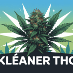 kleaner thc avis illustration dépistage cannabis
