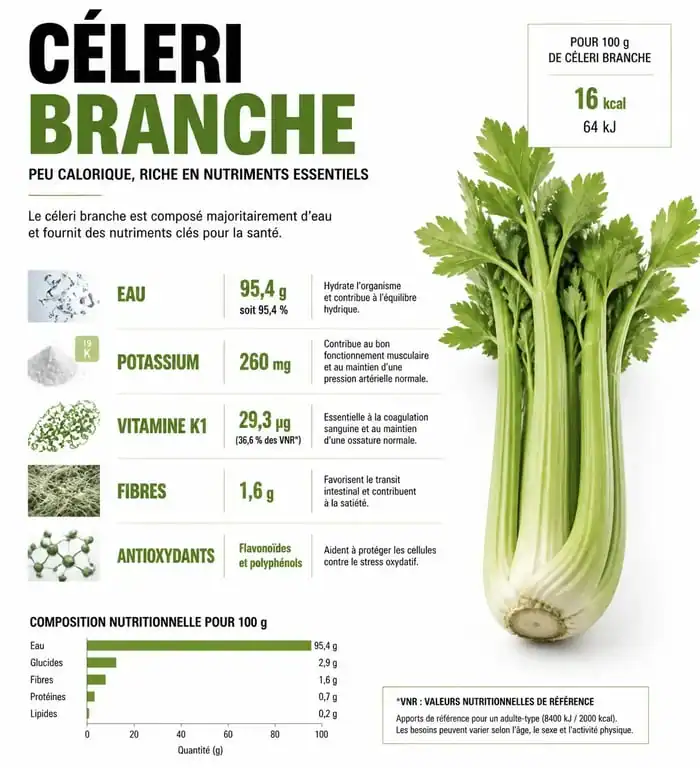 Infographie des bienfaits nutritionnels et apports santé du céleri branche