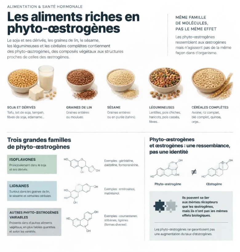 Infographie sur les aliments riches en oestrogenes et les phyto-œstrogènes du soja, du lin et du sésame